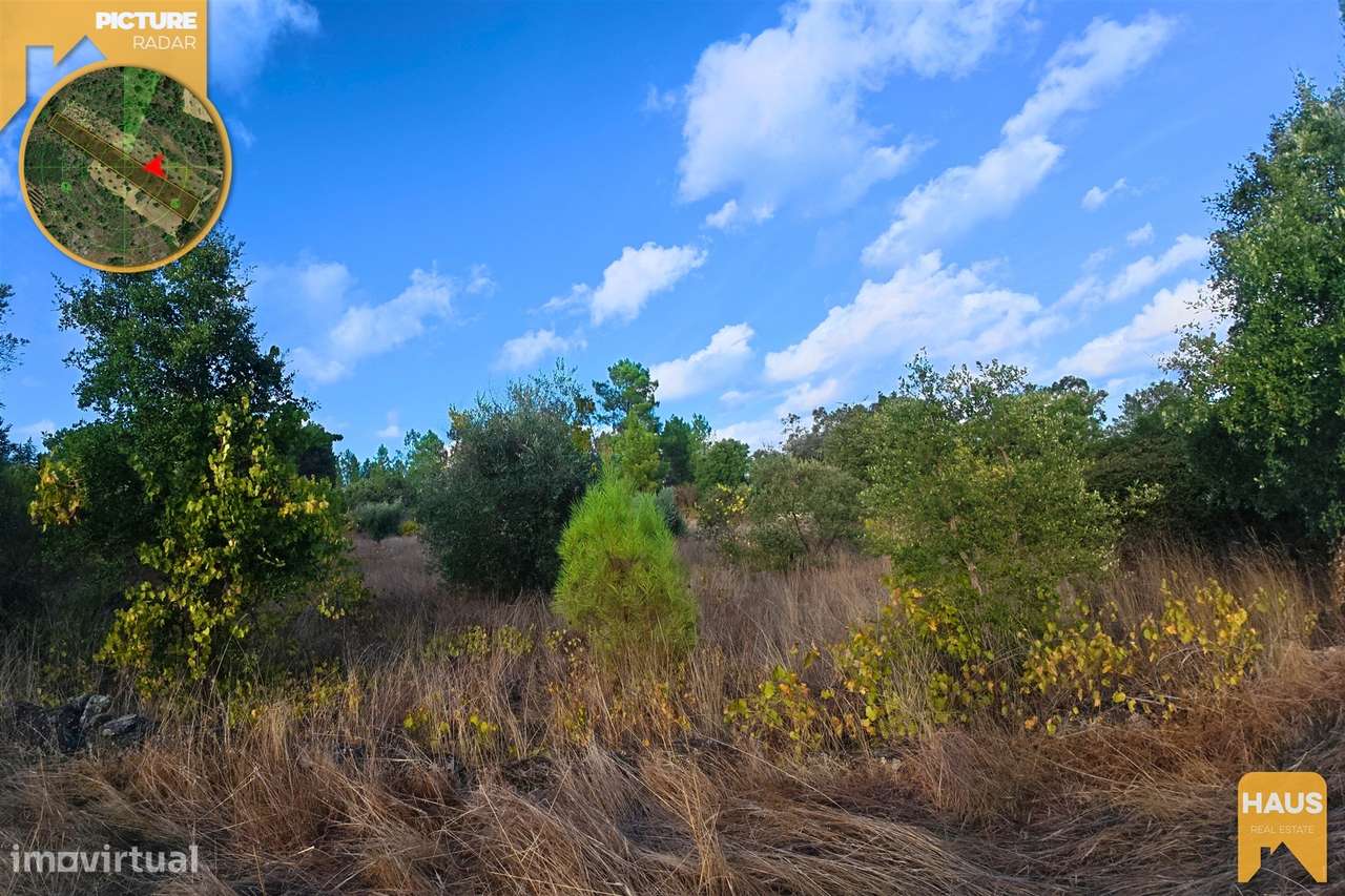 Terreno Rústico 2.300m² c/ Muros de Pedra – Juncal do Campo-22