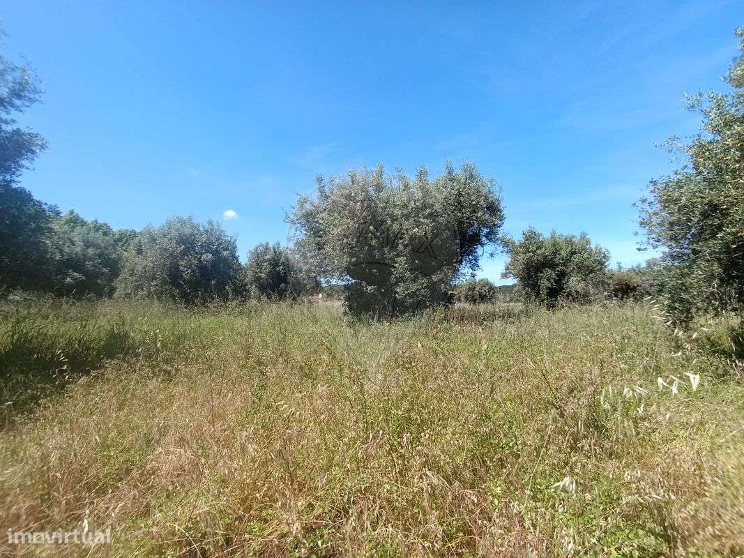 Terreno  para venda - Grande imagem: 5/13