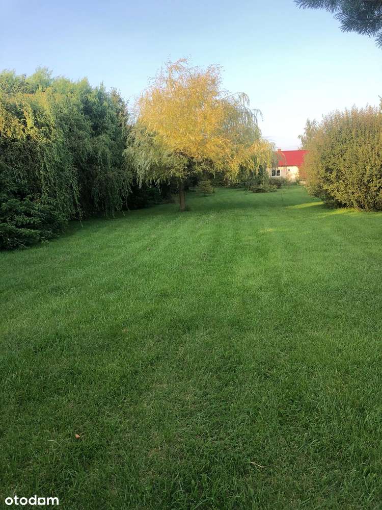 Piękne siedlisko z potencjałem w Dąbrowie 10 km od Poznania-0