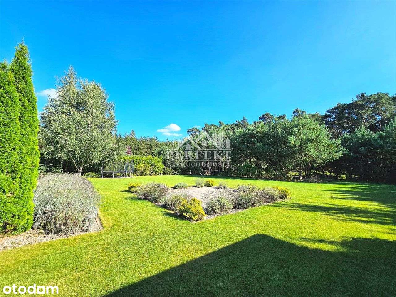 Balczewo~Dom jedno lub wielopokoleniowy pod Lasem!-4