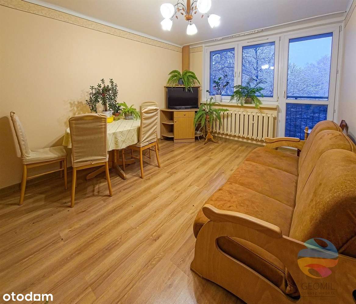 Mieszkanie na wynajem, Sosnowiec, 2 pokoje - Pełny obrazek: 1/9