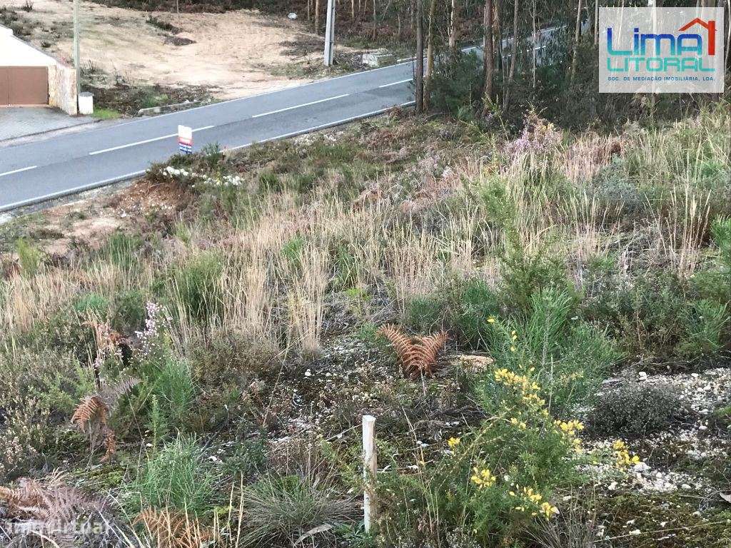 Terreno construção para moradia - 800 m2, - Grande imagem: 1/5