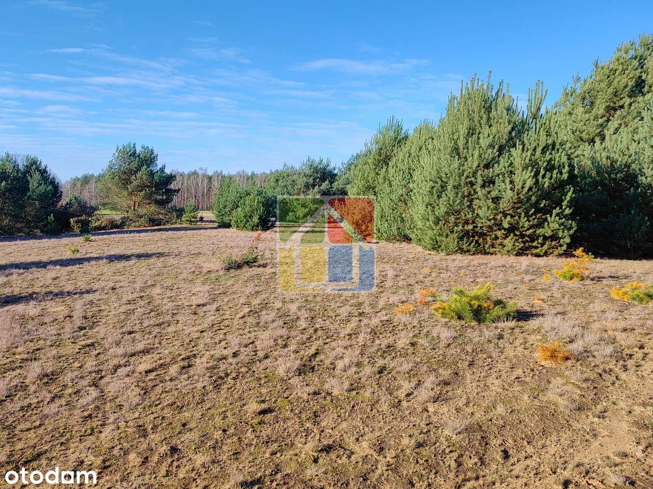 Duża działka z widokiem na jezioro-0