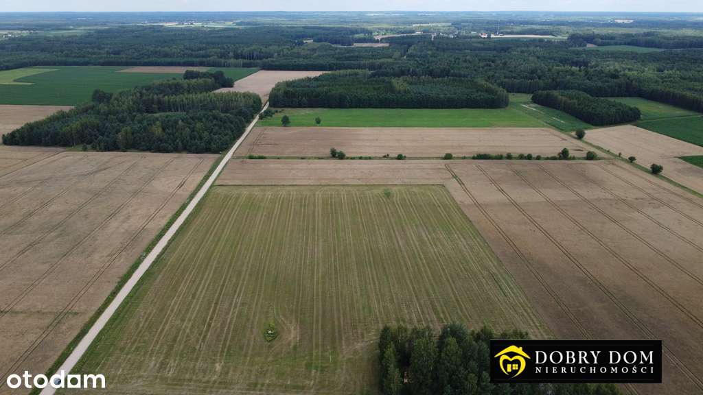 Działki budowlane w miejscowości Ancuty - Pełny obrazek: 4/5