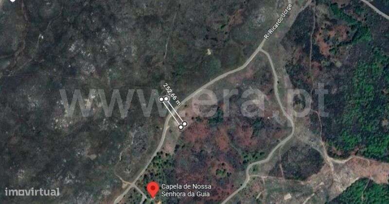 Terreno / Baião, Campelo e Ovil - Grande imagem: 3/4