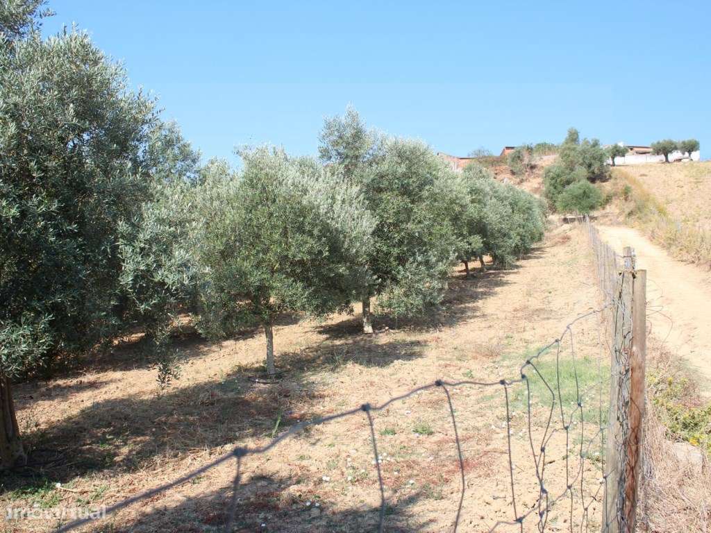 Casa de Campo, terreno, vista panorâmica concelho Rio Maior-33