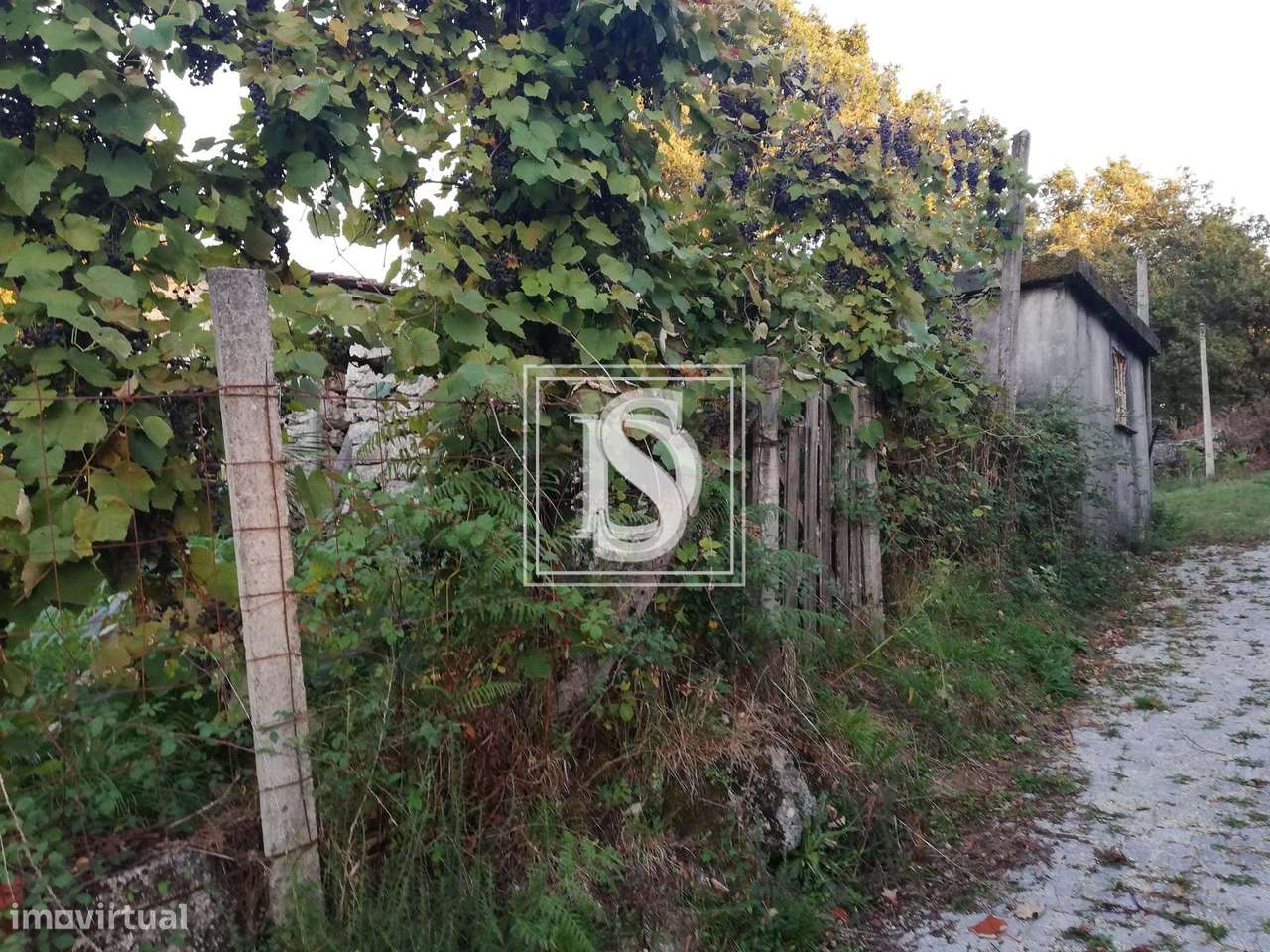 Moradia T2 para Restaurar com terreno,   em Serzedelo, Póvoa de Lanhos - Grande imagem: 4/9