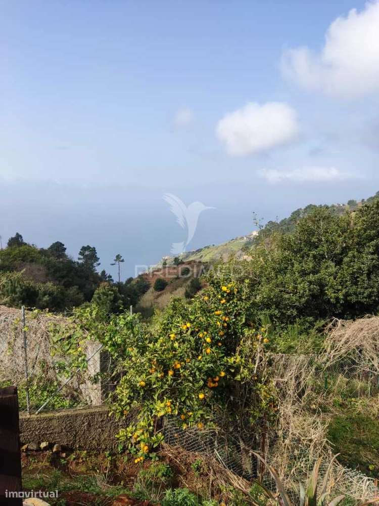 Moradia em Ruína Para Venda em Fajã da Ovelha, Ilha da Madeira - Grande imagem: 4/24