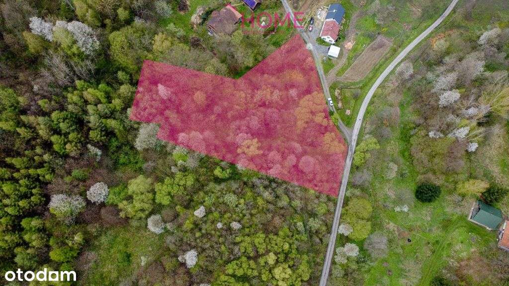 Działka z możliwością zabudowy - Domaradz - Pełny obrazek: 2/11