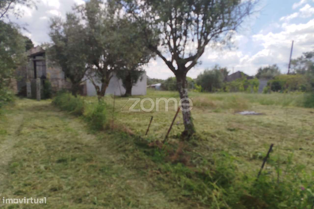 Moradia, 45 m², Carregal do Sal - Grande imagem: 4/47