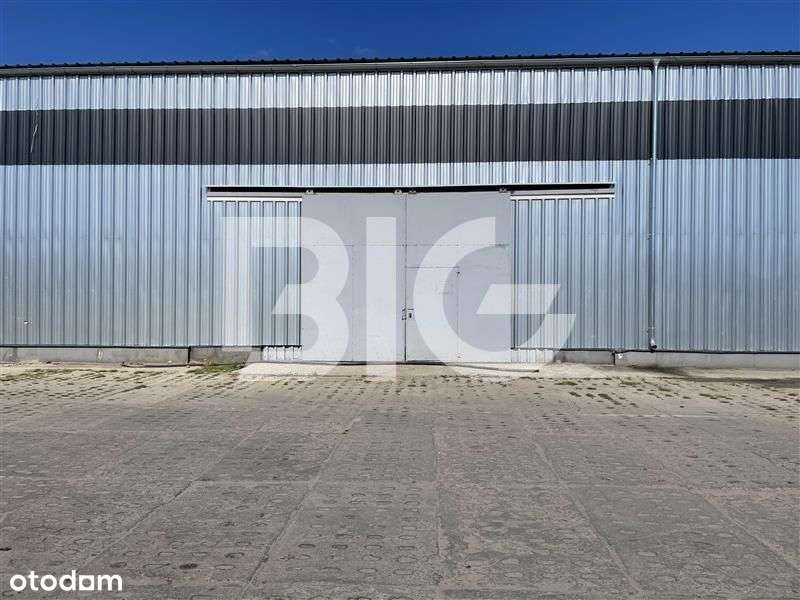 Hala magazynowa przy obwodnicy. - Pełny obrazek: 4/4