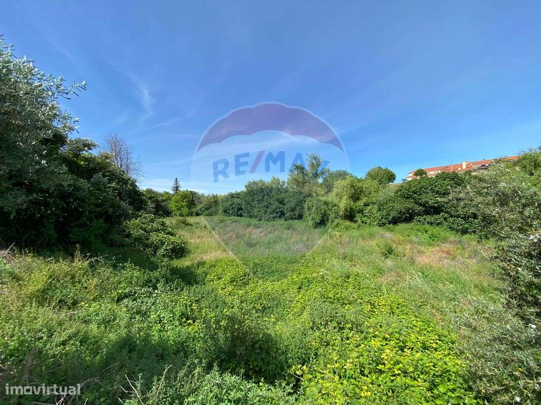 Terreno  para venda - Grande imagem: 4/7