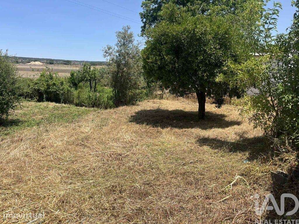 Terreno para construção em Coruche, Fajarda e Erra de 912,00 m2 - Grande imagem: 2/10