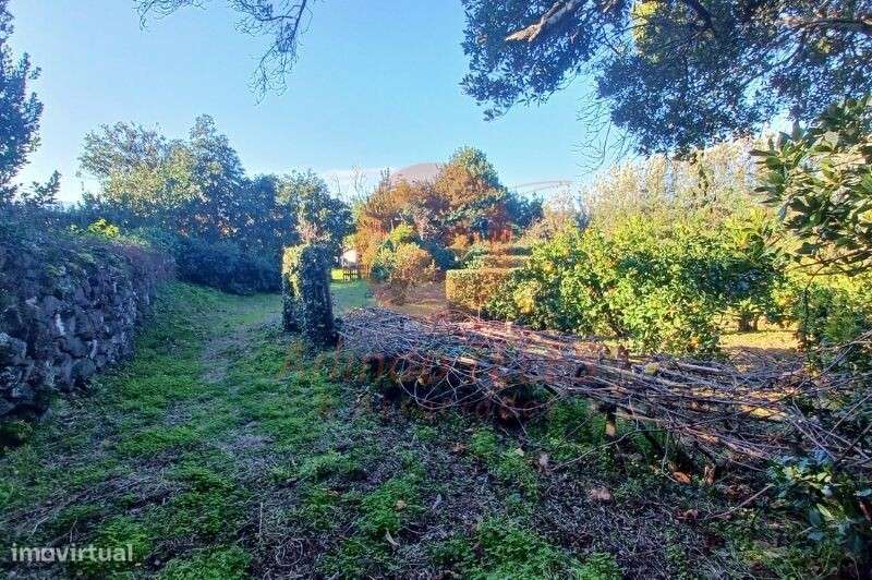 Venda Moradia - Grande imagem: 5/49