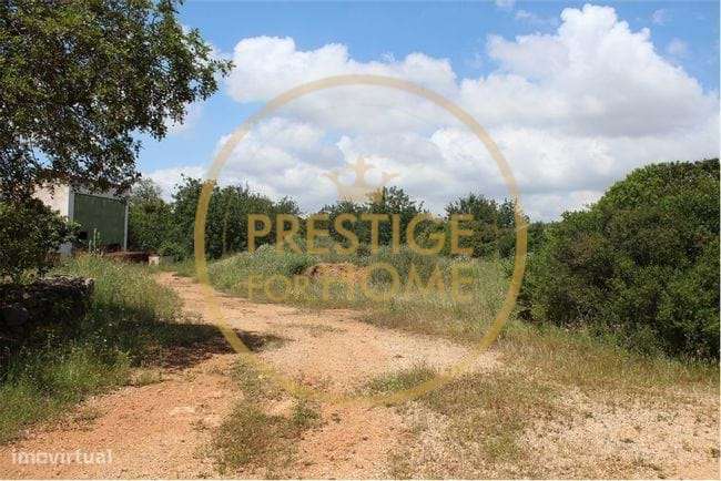 Terreno com 600 m2, situado em Campina (Loulé) - Grande imagem: 5/8