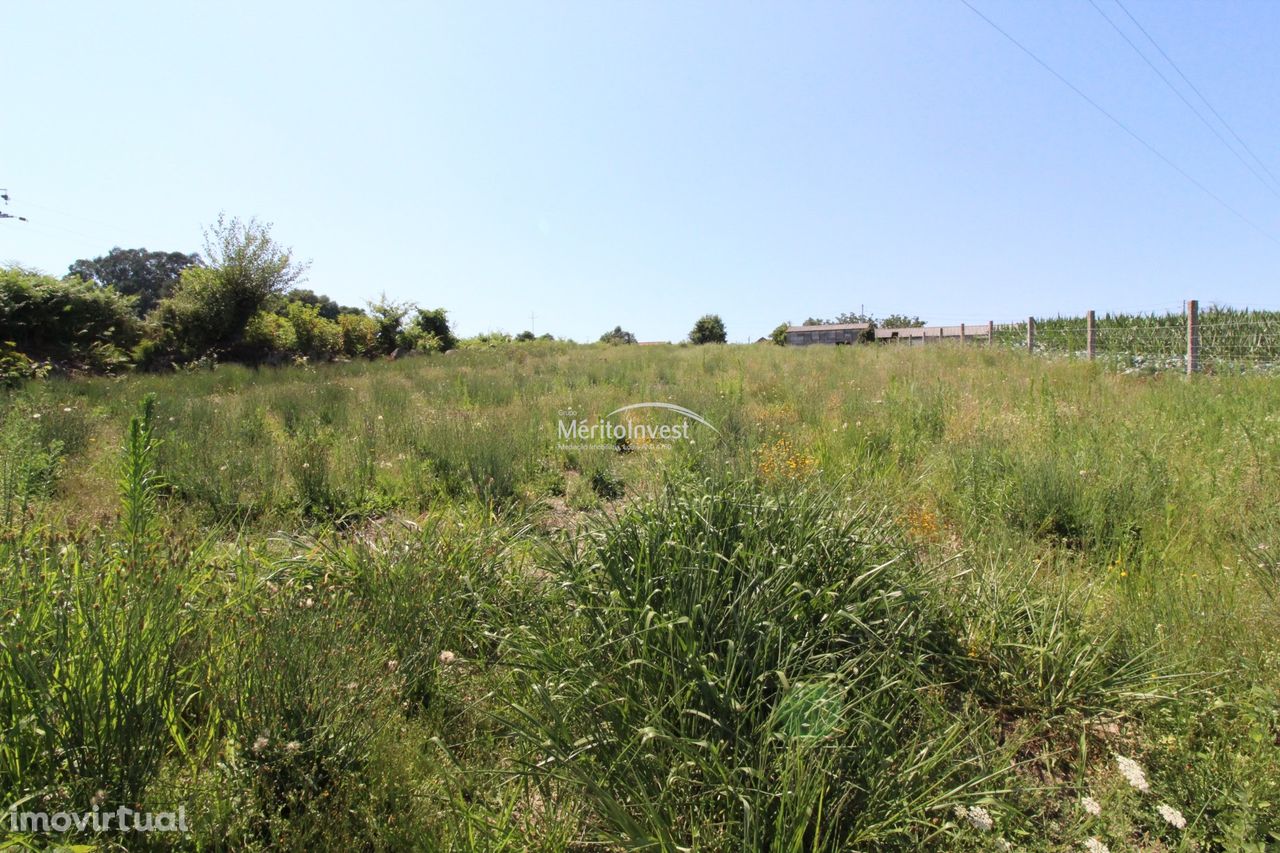 Terreno rústico com área total de 2.590M2 na freguesia de Lagoa - V.N.