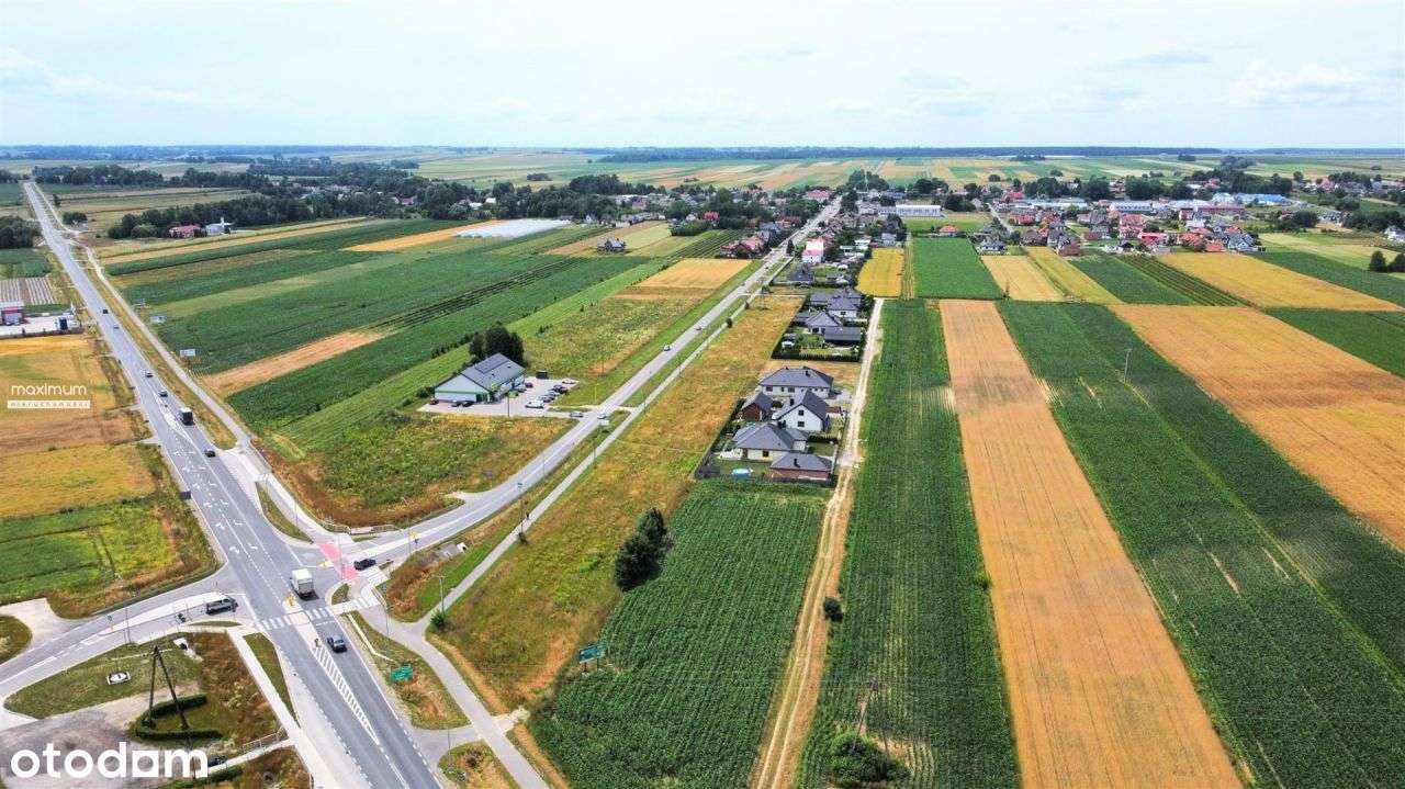 Działka budowlana 87 ar|usługi|jednorodz.|Księżpol - Pełny obrazek: 5/9