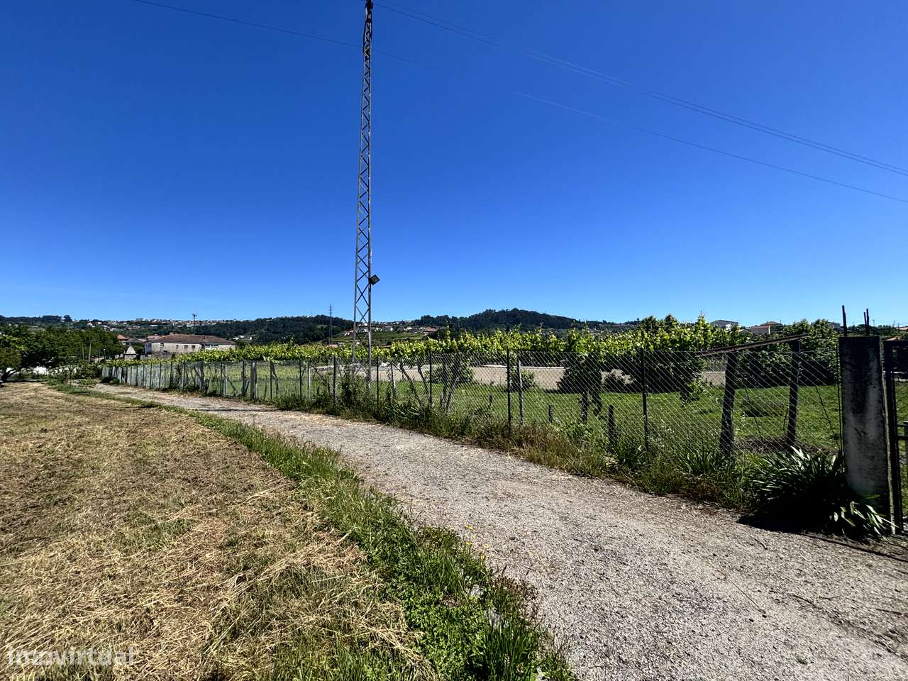 Belíssima Quinta T5 com produção ativa de Vinhas-32
