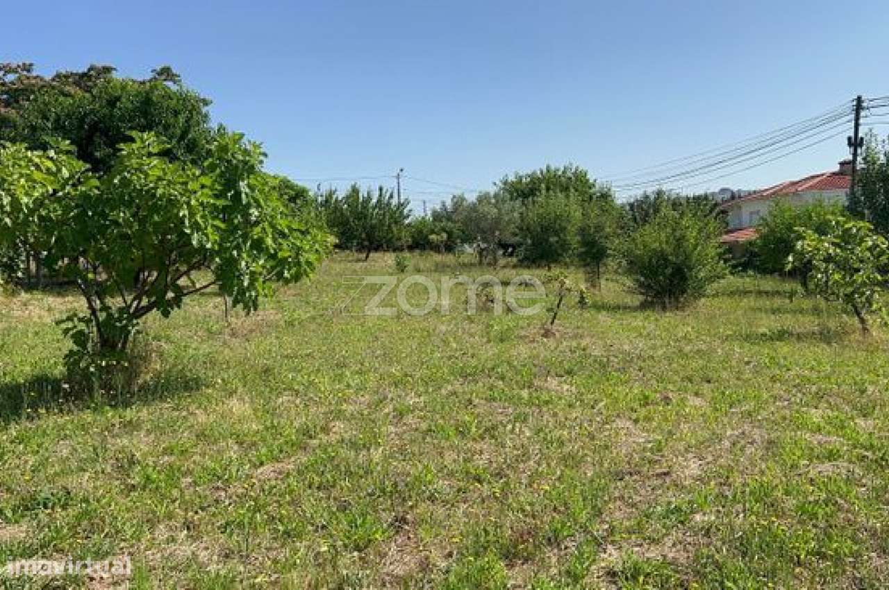 Construa a Casa dos Seus Sonhos em Escariz – Terreno Plano à Venda - Grande imagem: 5/16