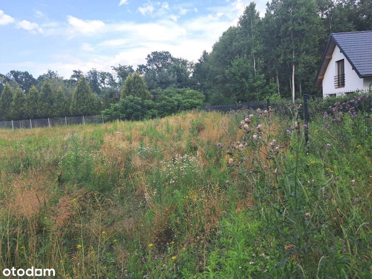 Uchwalony plan. Piękna działka ! Wszystkie media. Szkoła, autobus-5