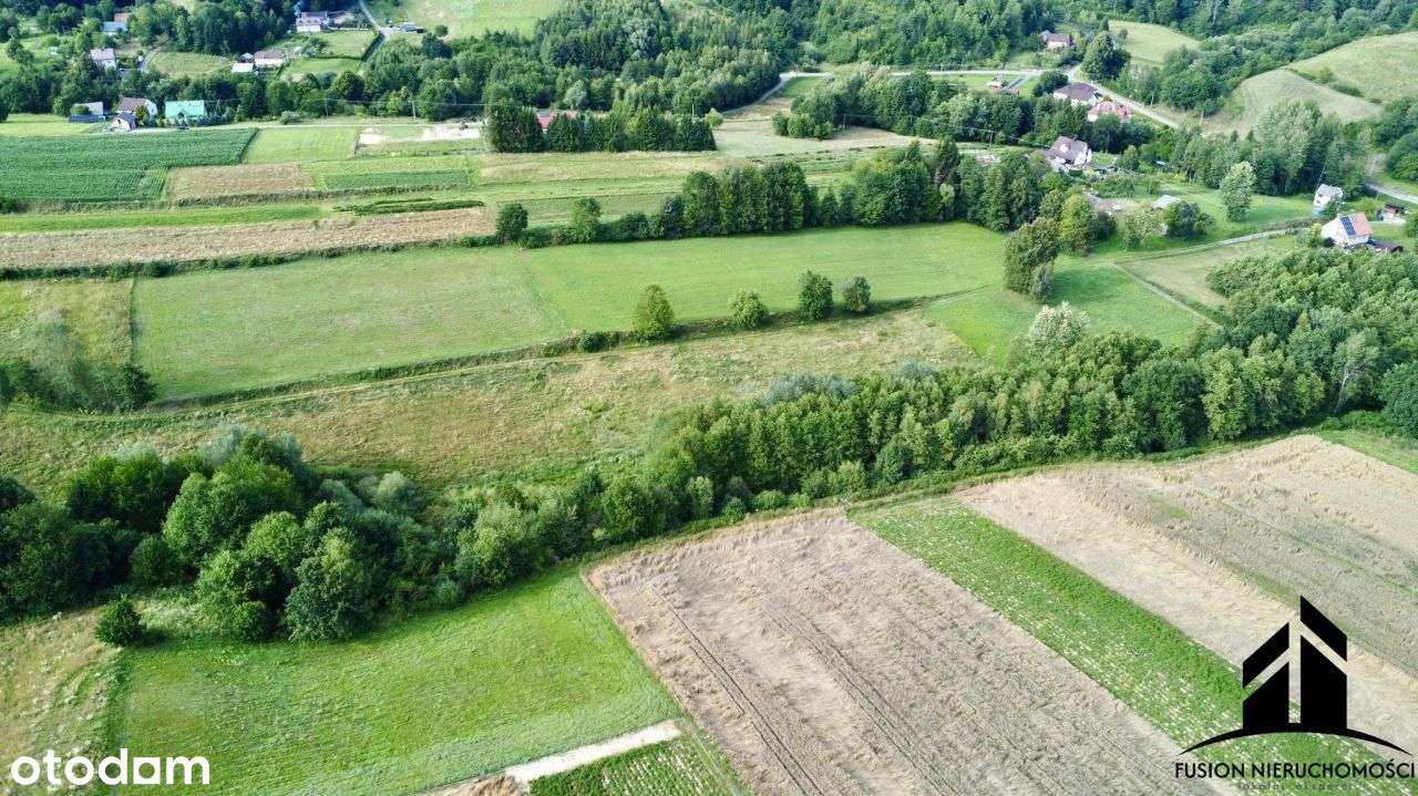 Urokliwa działka z potencjałem | 7842 m² | Łubno,-14