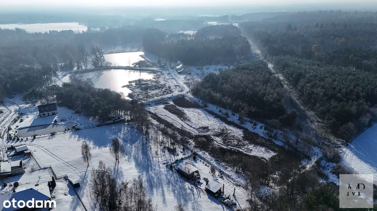 Posiadłość w lesie "Cztery Stawy"| Dom 270m2 | Działka 6,5 ha| Natura! - Pełny obrazek: 4/20
