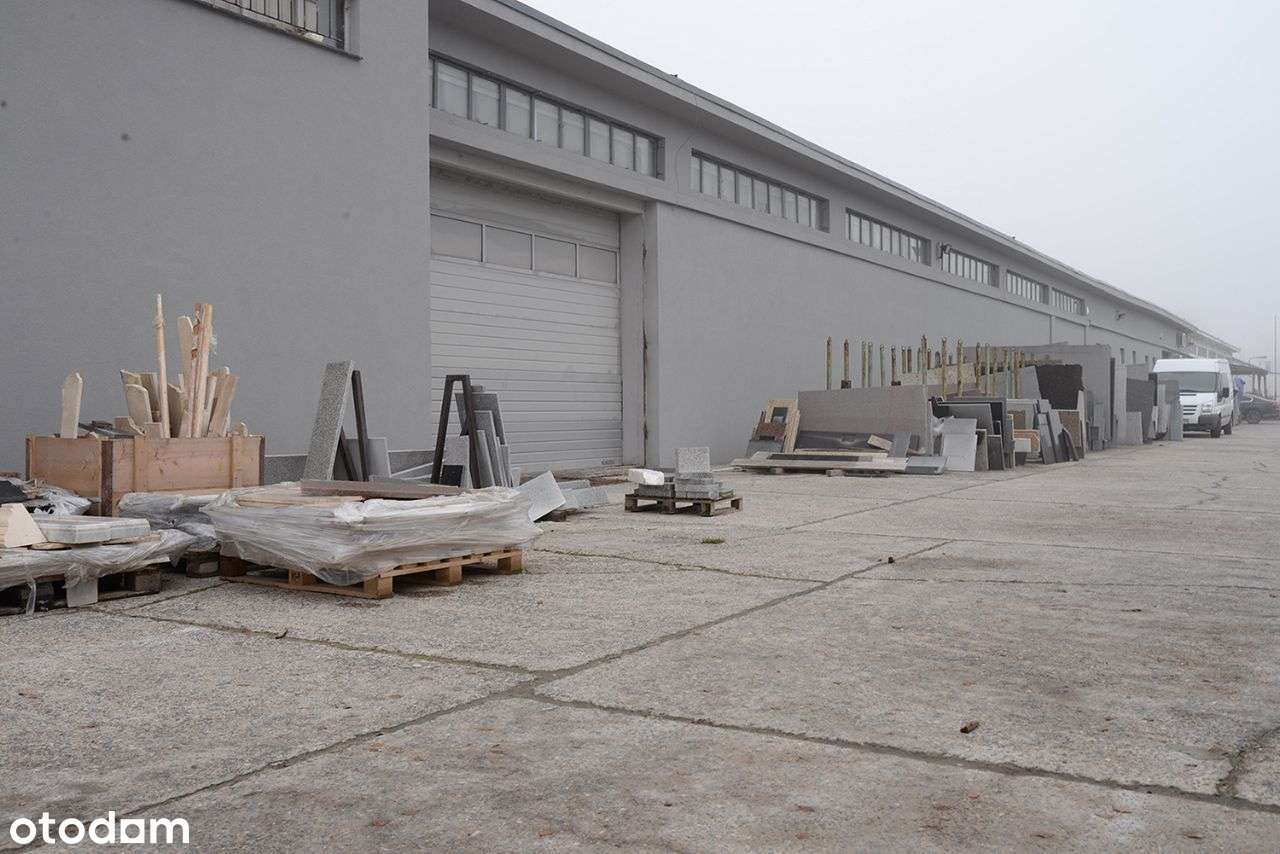 Sprzedam: hala + biura 745 m², działka 9097 m² – logistyczny potencjał - Pełny obrazek: 4/13