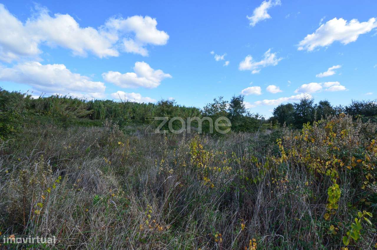 Terreno Pinhal, Alenquer - Grande imagem: 5/10