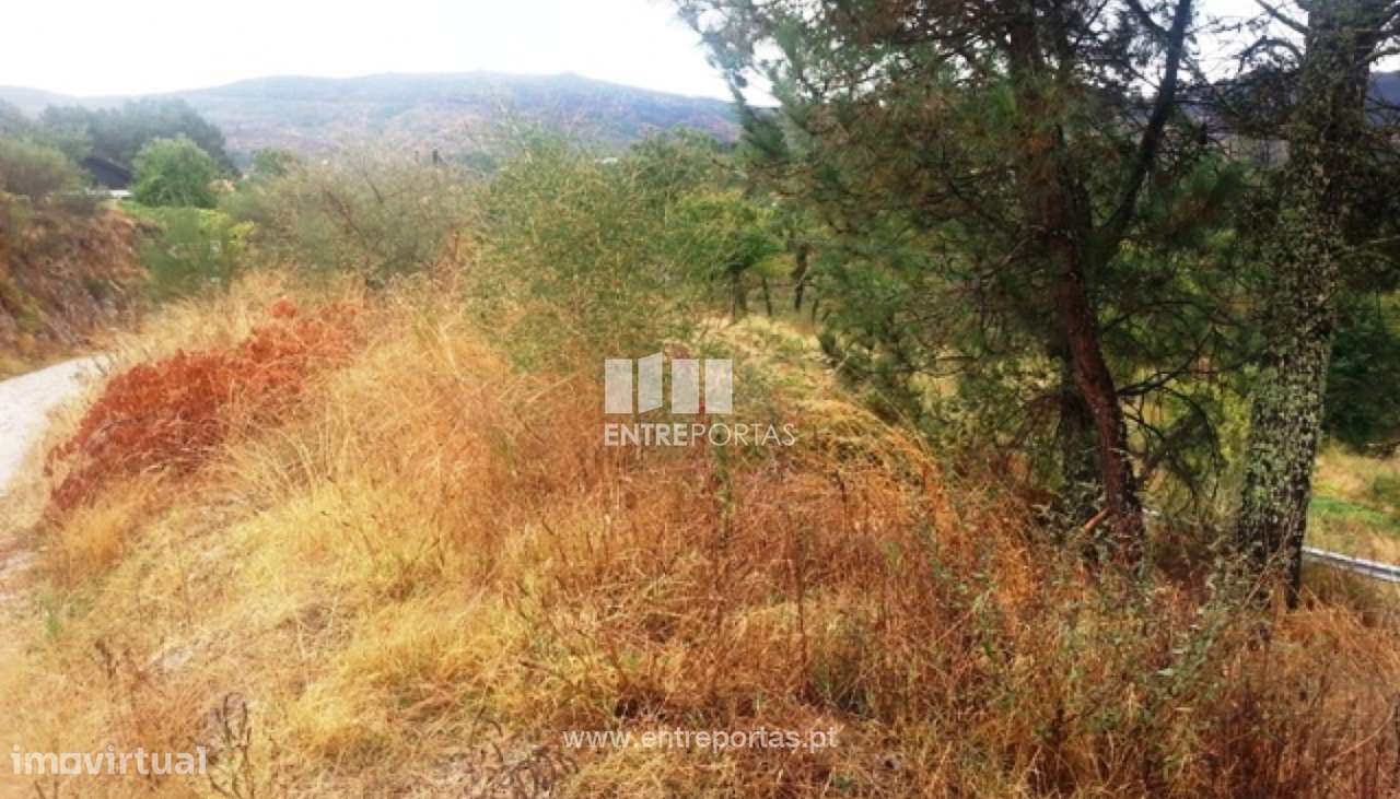 Venda Terreno, Ovil, Baião - Grande imagem: 2/8