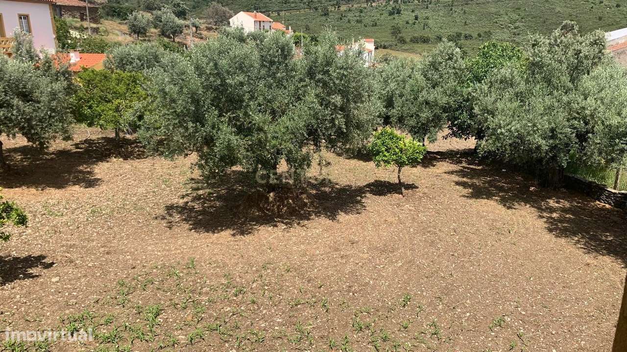 Espaçosa Moradia em Villas Ruivas com Garagem-16