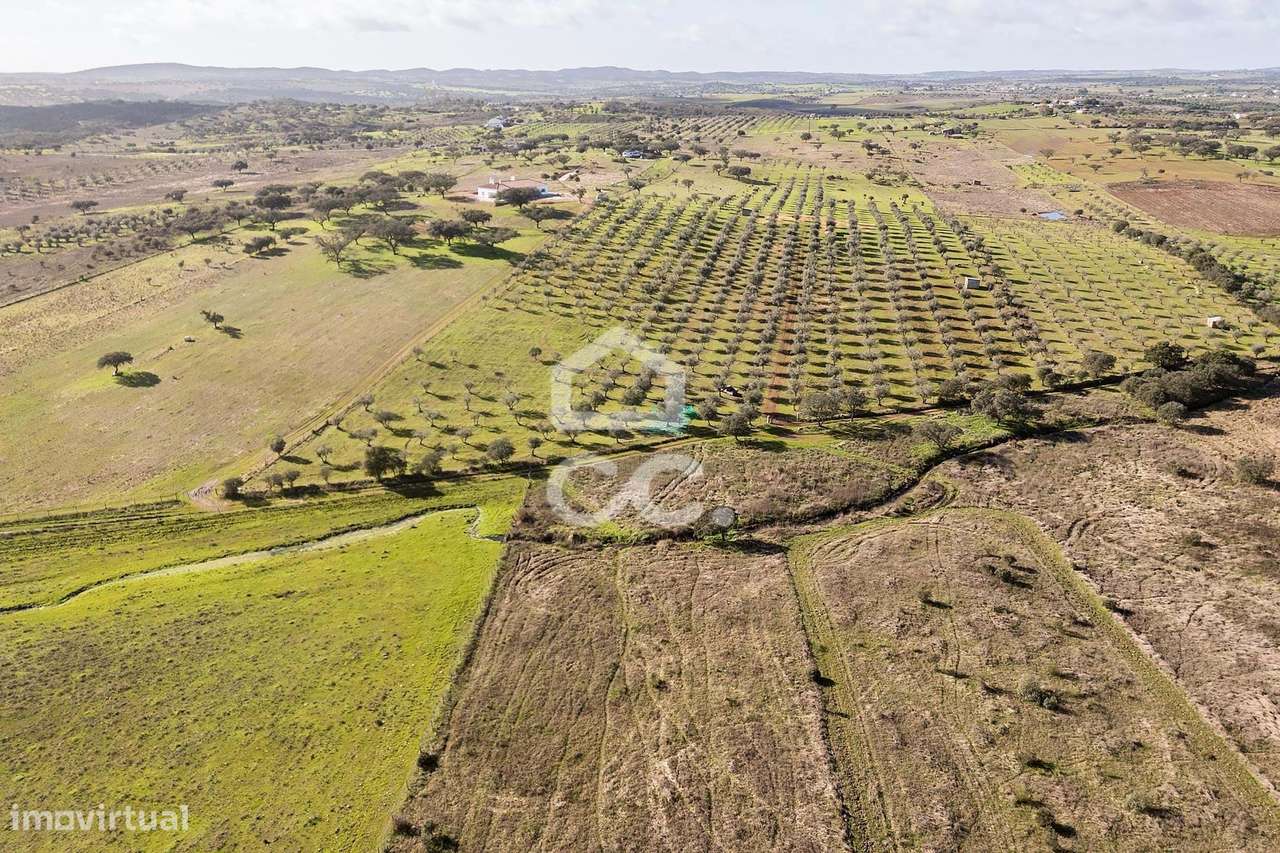 Terreno de 5,4 ha c/ Viabilidade de Construção | Capelins, Alandroal-35