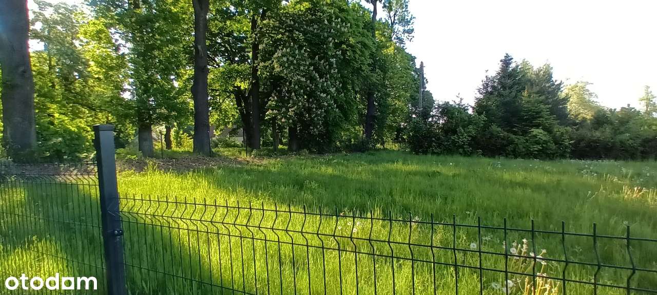 Działka zupełnie wyjątkowa - Pełny obrazek: 3/7