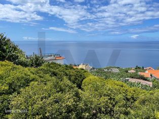 Terreno para construção - com 790m2 na Ponta do Sol - Grande imagem: 4/6