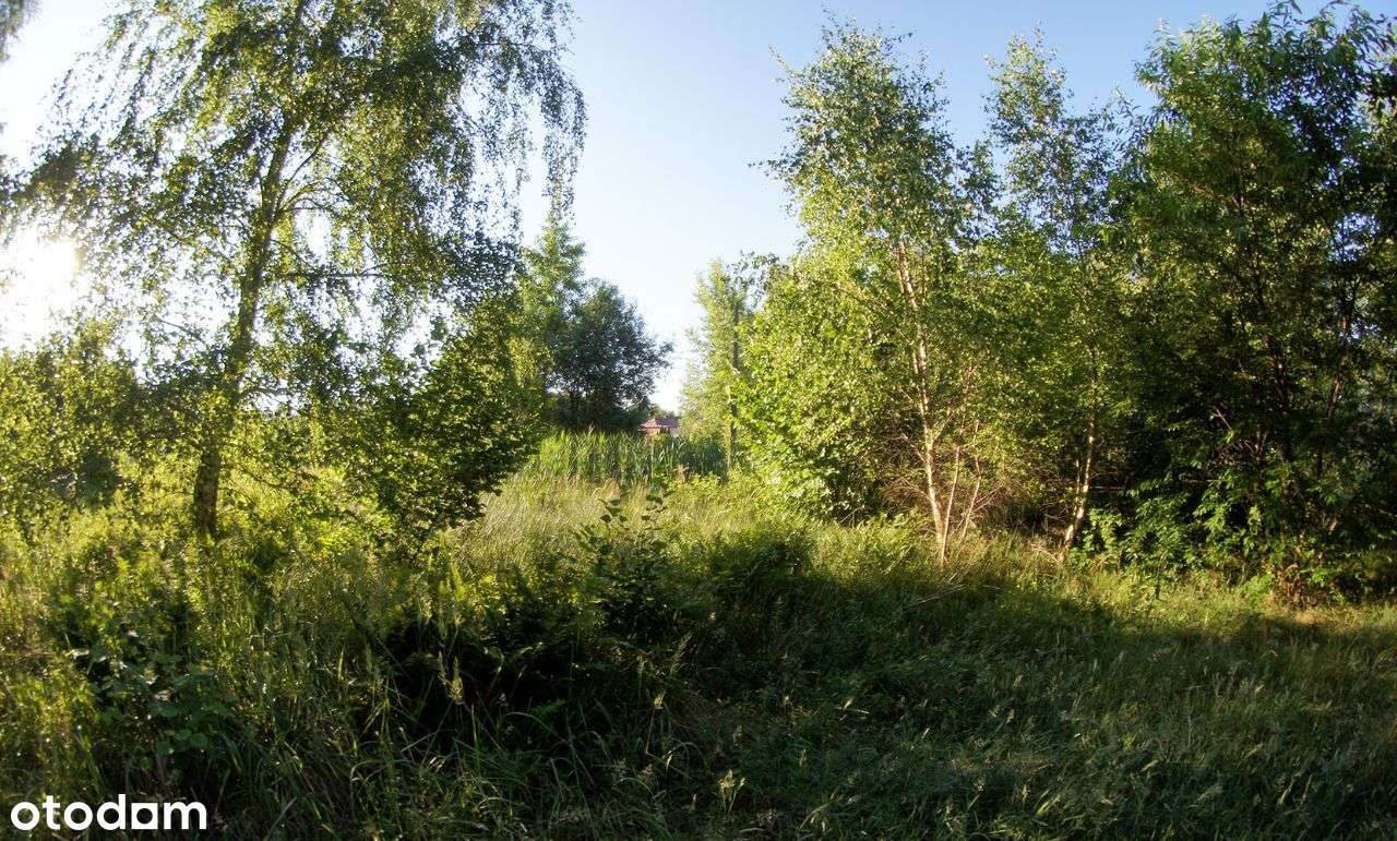 Piękna działka w Rybnik - Niedobczyce | Okazja!-2