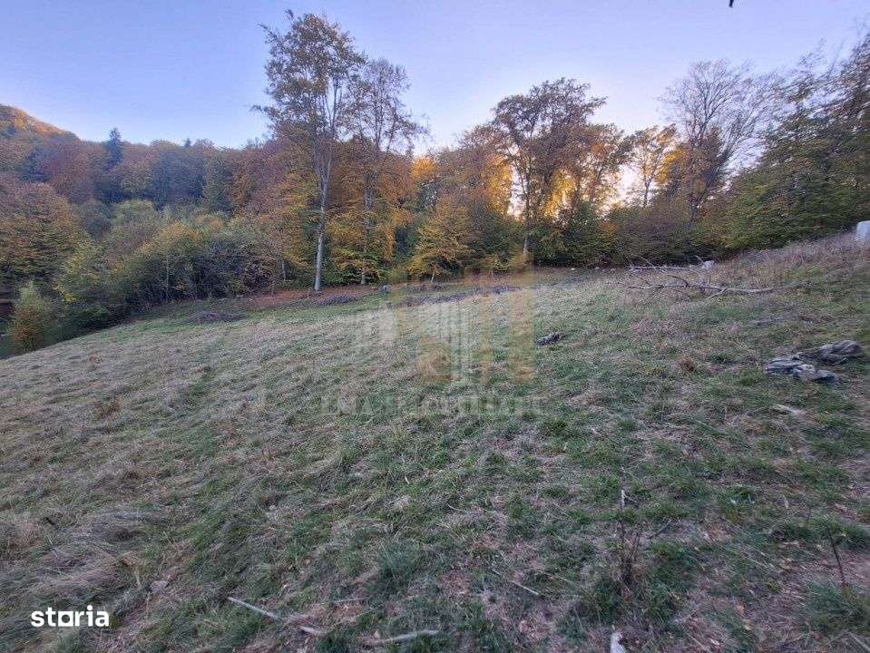 Teren intravilan Brasov Strada Ciresului 2900 mp-4
