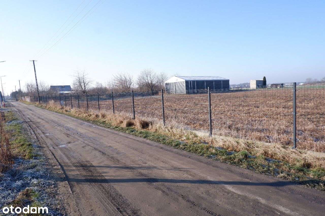 Dożynkowa - Działka pod Twój dom!! - Pełny obrazek: 4/9