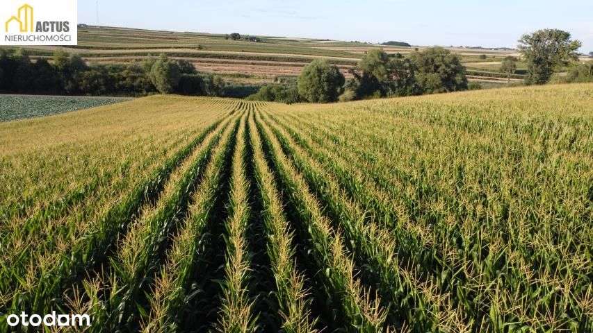 Działka 47 ar Stręgoborzyce-6