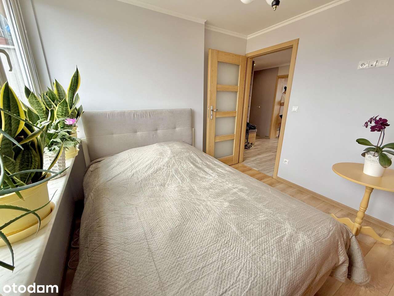 Duże mieszkanie przy ul. Koszyka na sprzedaż-8