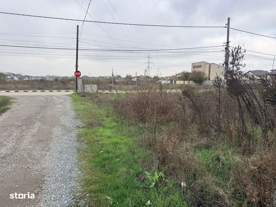 Teren Rascoala 1907, Pantelimon-1