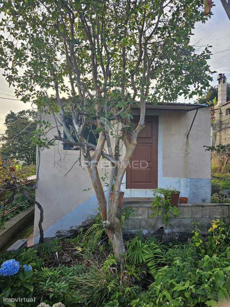 Moradia típica madeirense com terreno de 3140 m² - Grande imagem: 4/36