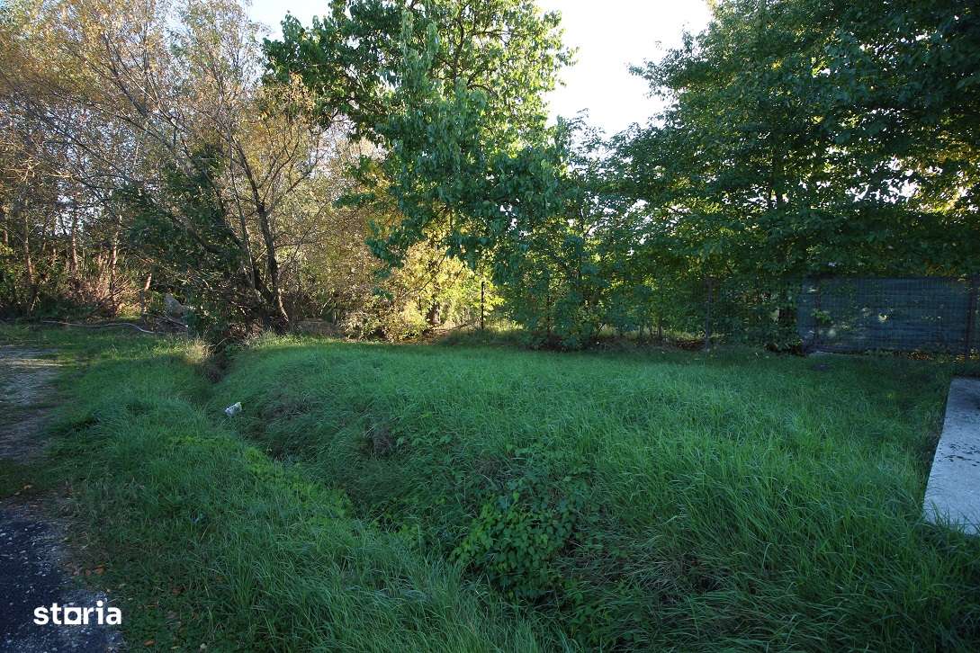 Casa Batraneasca Hemeiusi Lg Scoala 1300 mp 31 Dechidere Negociabil-13