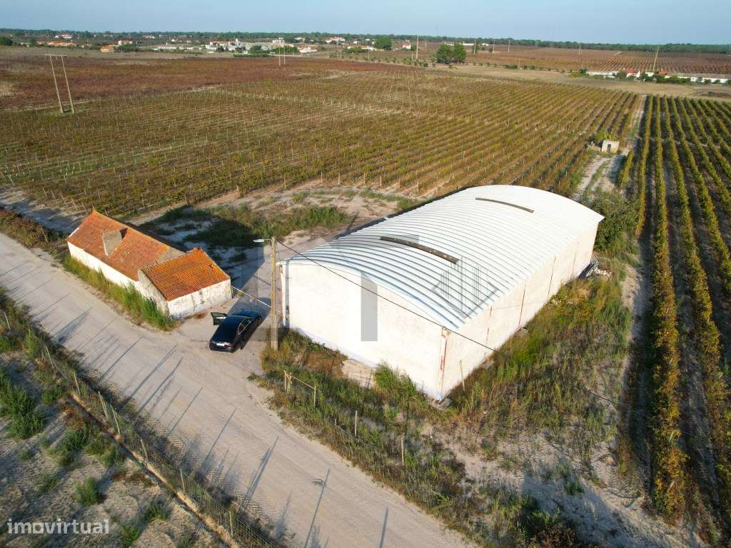 2 Terrenos / Vinha para Venda em Marateca, Palmela, Setúbal - Grande imagem: 3/33