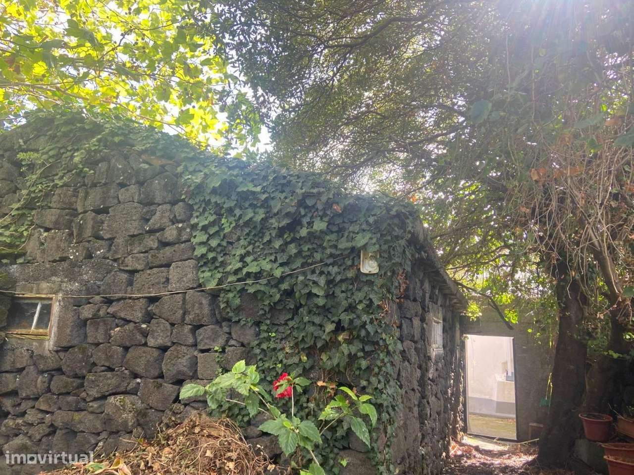 Casa em S.Roque do Pico com vistas sobre S.Jorge - Grande imagem: 4/29