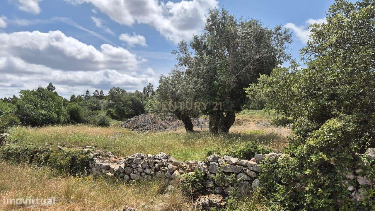 Terreno com 3.610 m² – Potencial e Natureza na Serra de Sicó - Grande imagem: 5/10