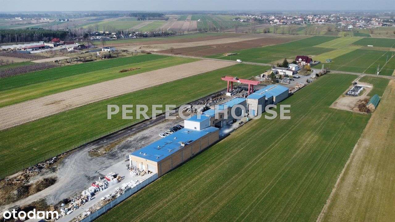 Hale, suwnica 25t, prąd 200/400kW - Pełny obrazek: 5/5