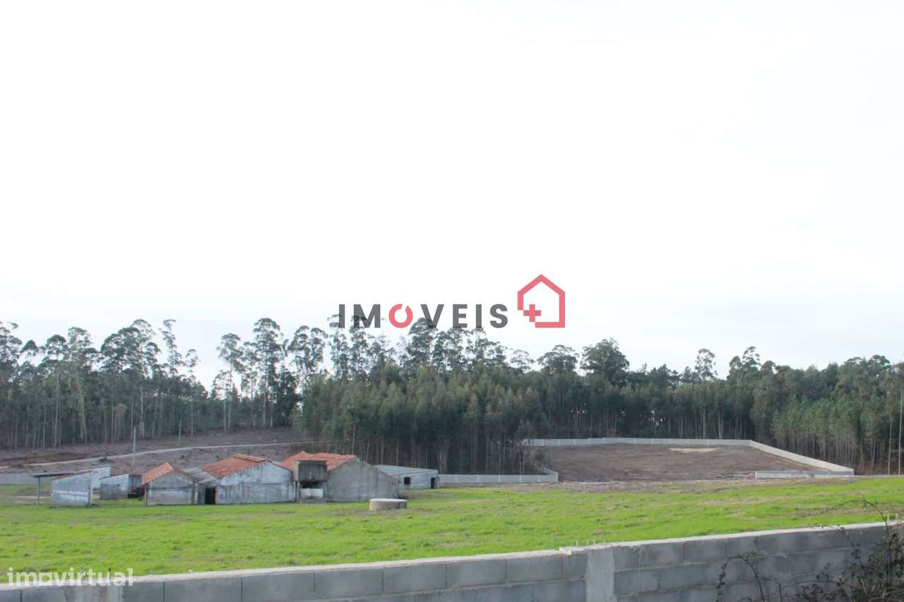 ***Terreno c/ 37.000m2 *** - Grande imagem: 2/19