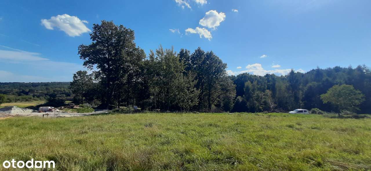 Budowlana działka ~ 13 ar, Czechówka, dojazd, południowy stok - Pełny obrazek: 4/11