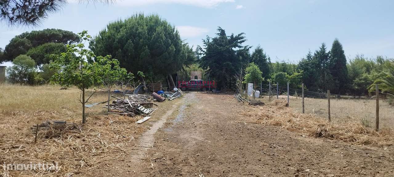 Terreno Rústico Urbanizável, A Dos Cunhados, Torres Vedras - Grande imagem: 4/7