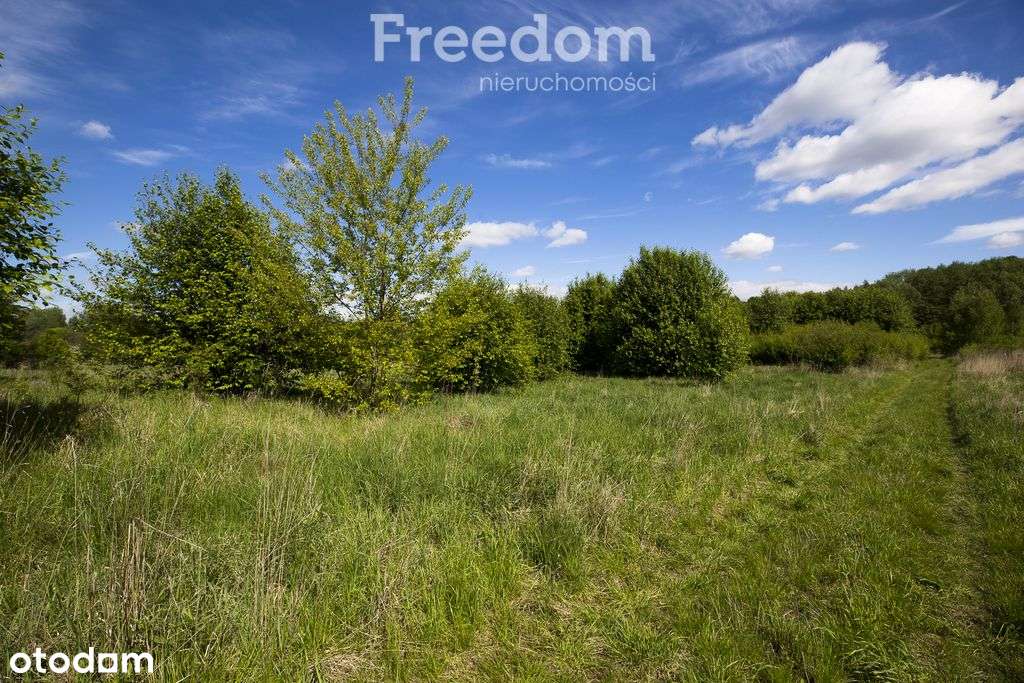 Działka 9 ar–teren zielony, Zwięczyca II, Rzeszów - Pełny obrazek: 5/12