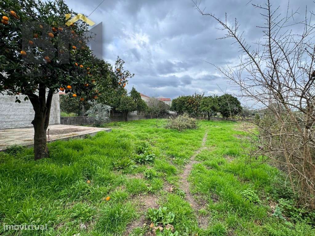 Moradia T3 para venda na Soalheira!-25